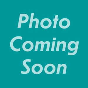 Portrait Photo of Megan Lingle Coming Soon